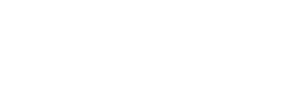 Aurora's Experience