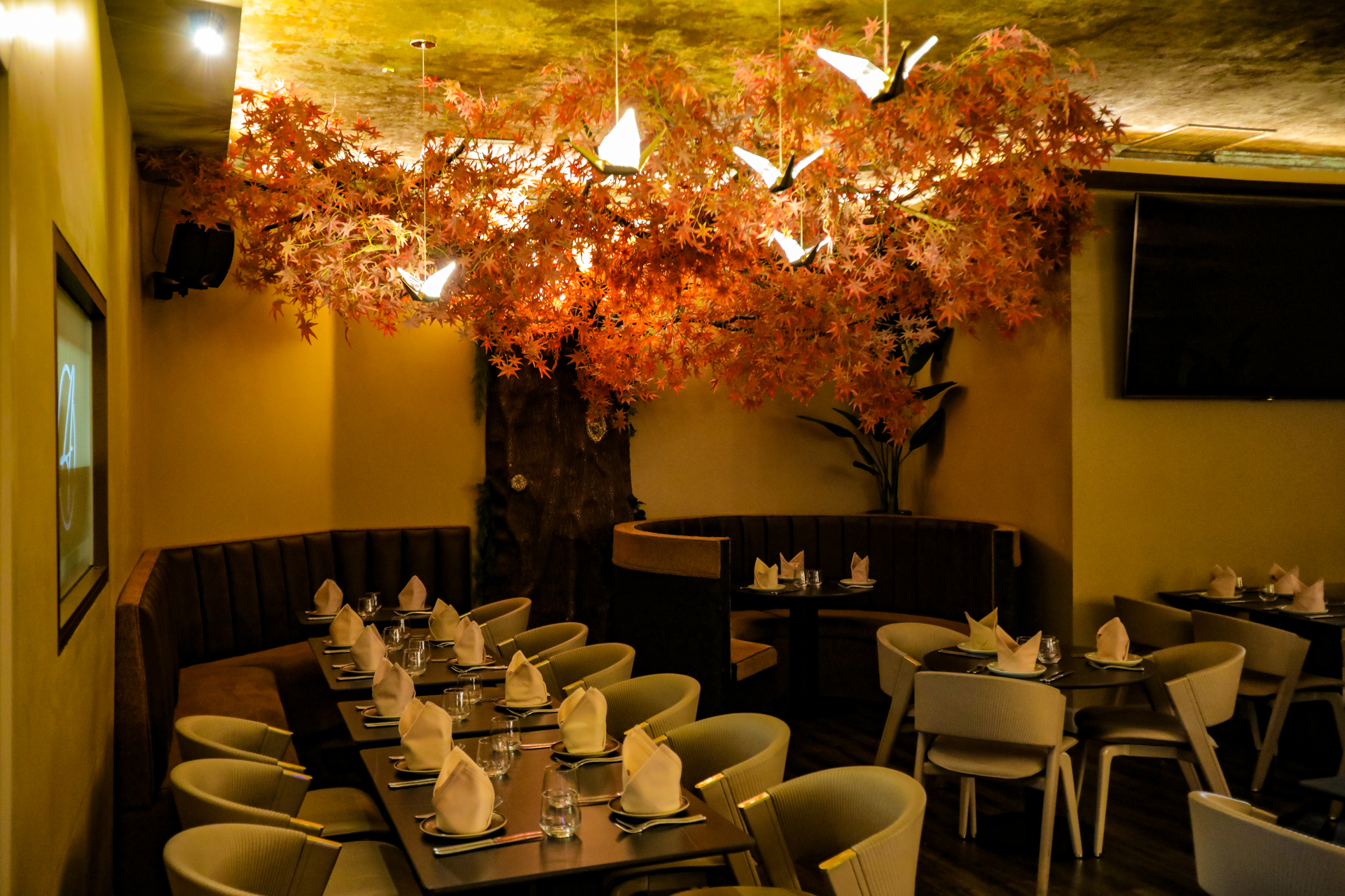 Tandoori grill at Aurora's Experience